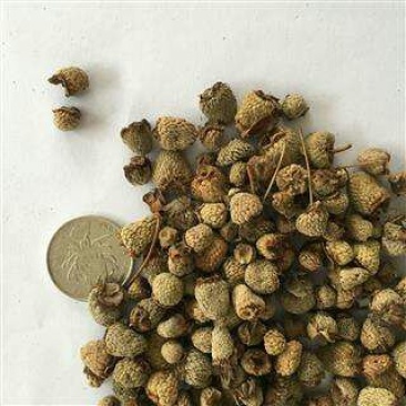 中药材复盆子中草药农家无硫覆盆子