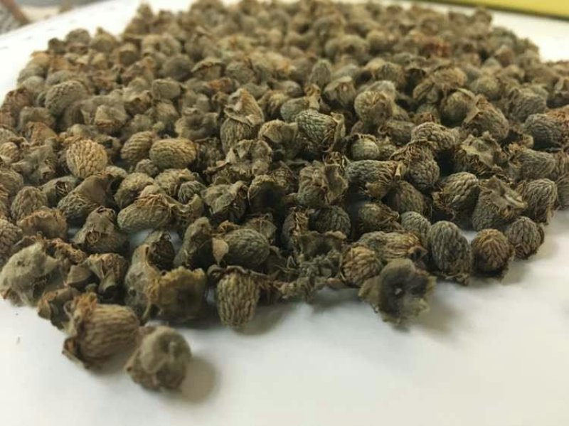 中药材复盆子中草药农家无硫覆盆子