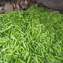 辣椒金牛角辣椒15~20厘米黄基地直发品质保证