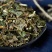 佩兰中药材佩兰香佩兰茶香味浓中草药佩兰叶