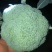 西兰花大量上市可供超市可发往全国各地，量大优惠