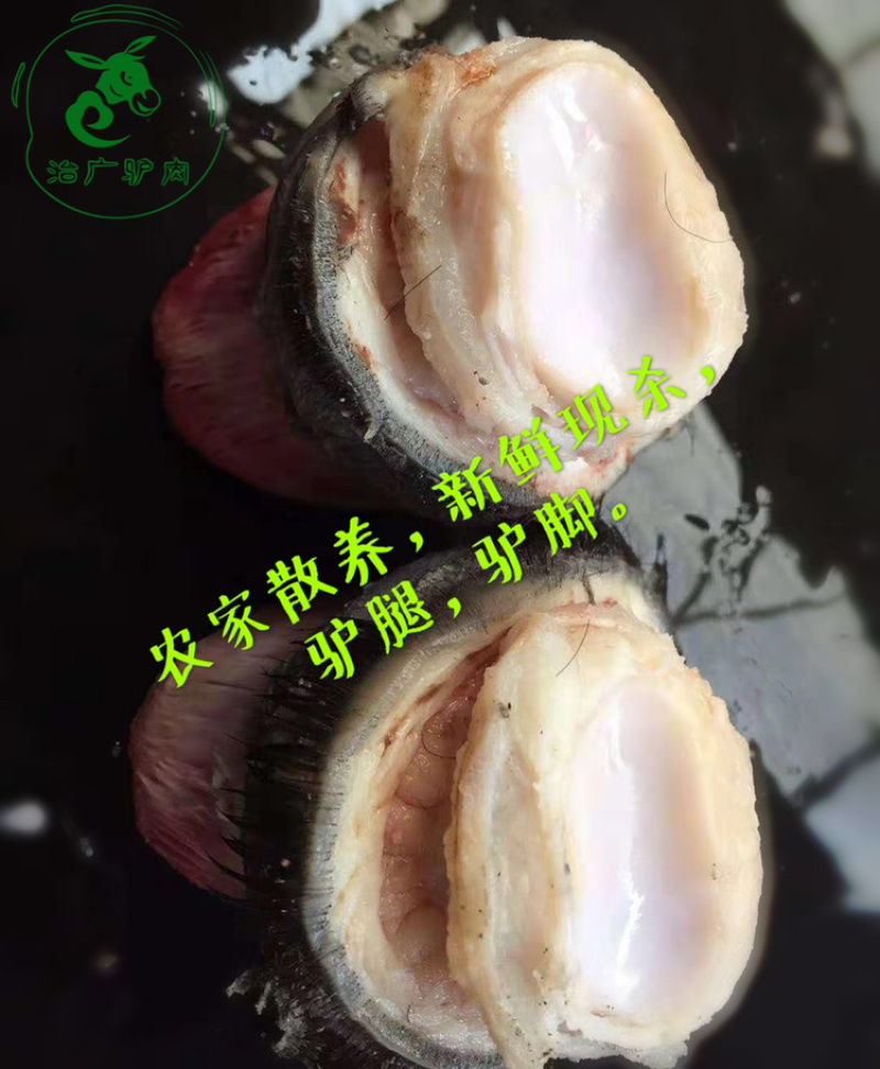 【优质活驴价格】优质驴苗成年驴杀肉成品驴德州驴三粉