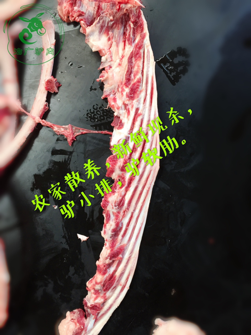 【优质活驴价格】优质驴苗成年驴杀肉成品驴德州驴三粉