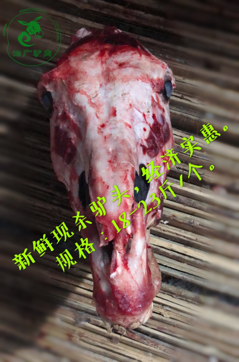 【优质活驴价格】优质驴苗成年驴杀肉成品驴德州驴三粉