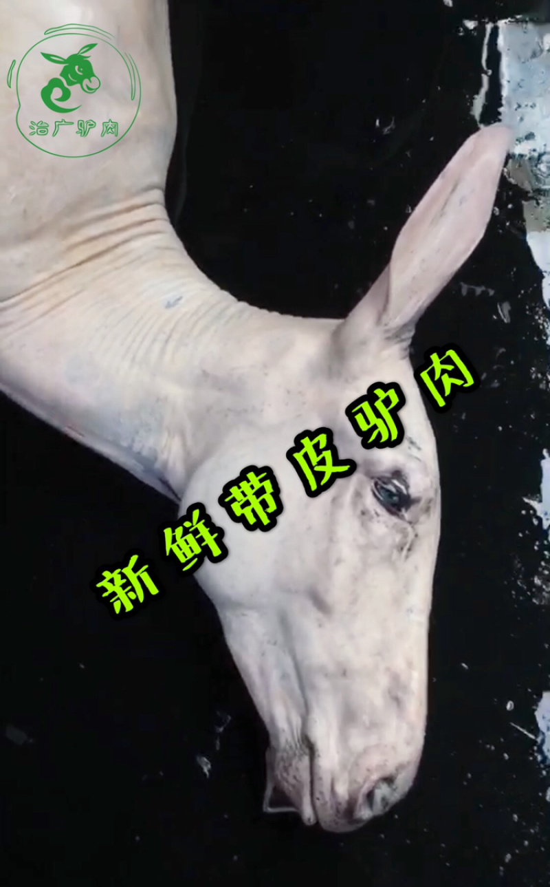 【优质活驴价格】优质驴苗成年驴杀肉成品驴德州驴三粉