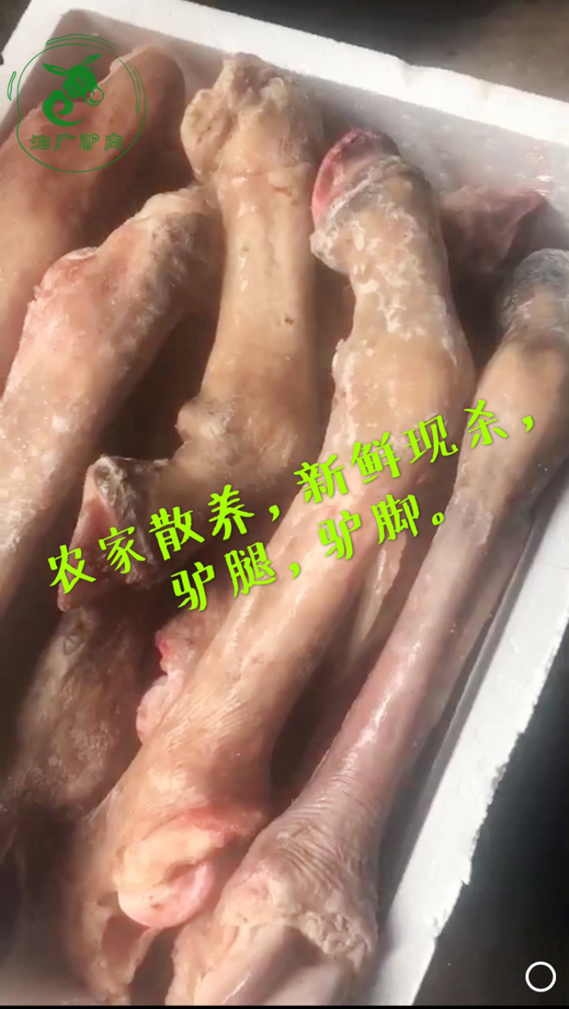 【优质活驴价格】优质驴苗成年驴杀肉成品驴德州驴三粉