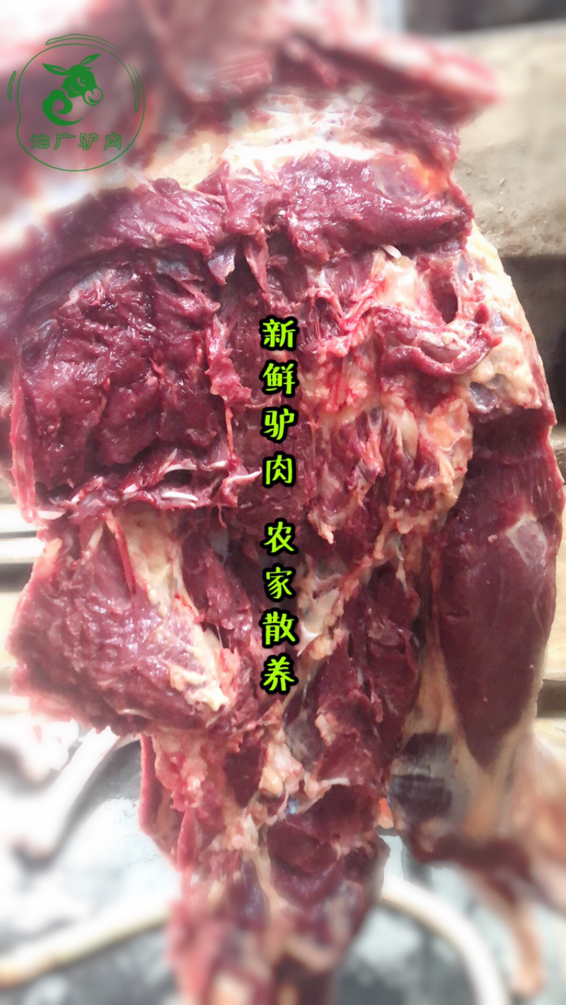 【优质活驴价格】优质驴苗成年驴杀肉成品驴德州驴三粉