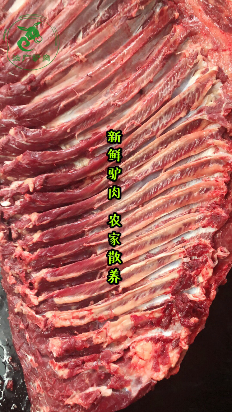 【优质活驴价格】优质驴苗成年驴杀肉成品驴德州驴三粉