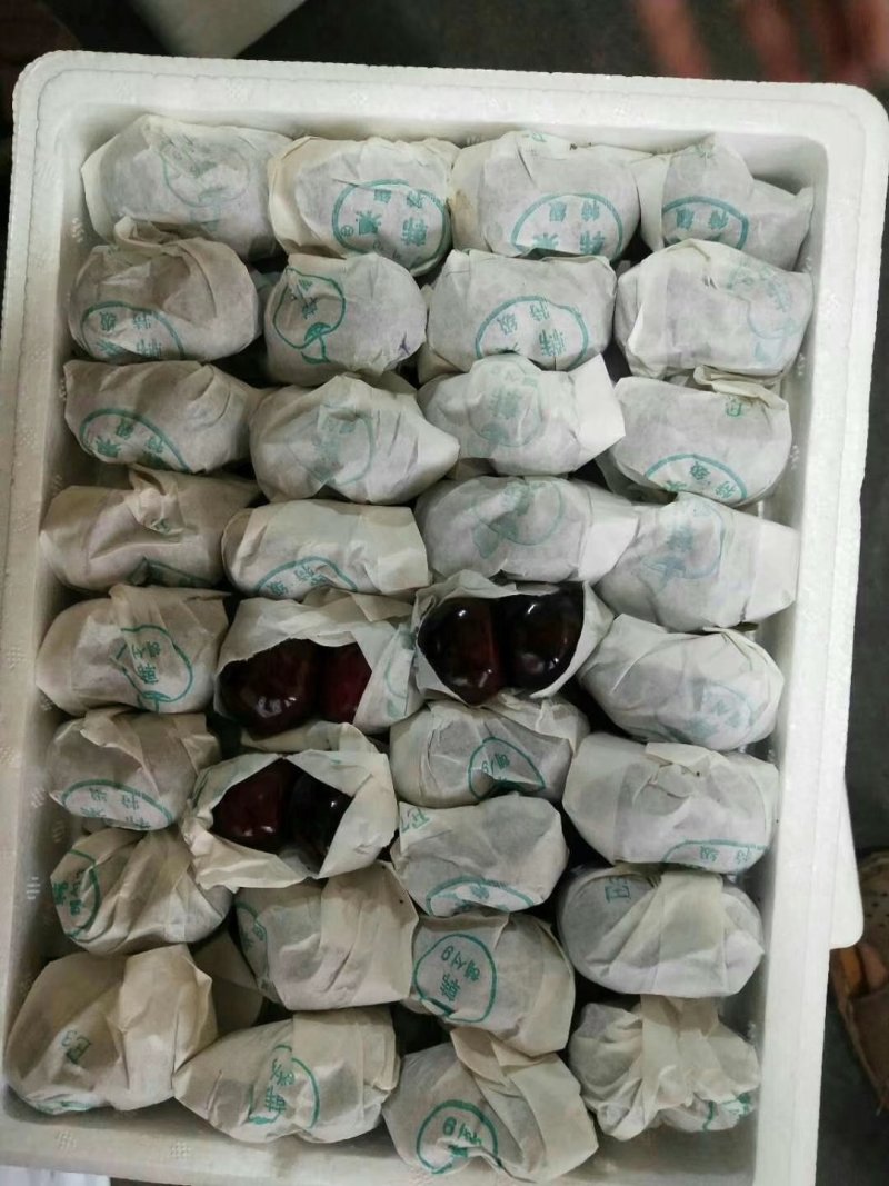 套袋红灯车厘子大樱桃黑珍珠，产量大，耐运输