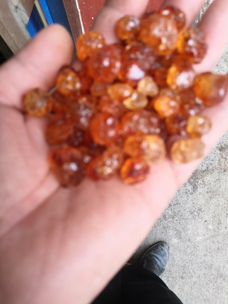 挑胶大晨供应，全国发货，一手货源