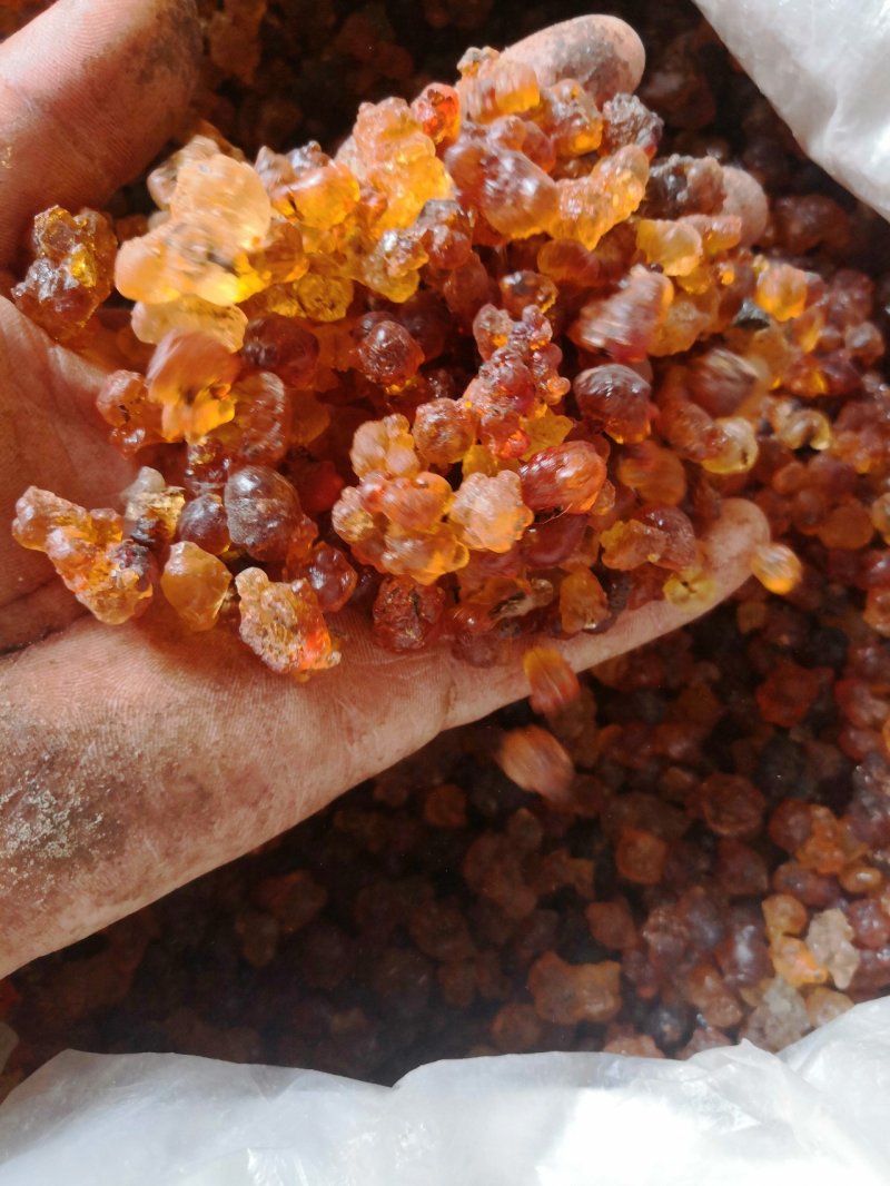 挑胶大晨供应，全国发货，一手货源