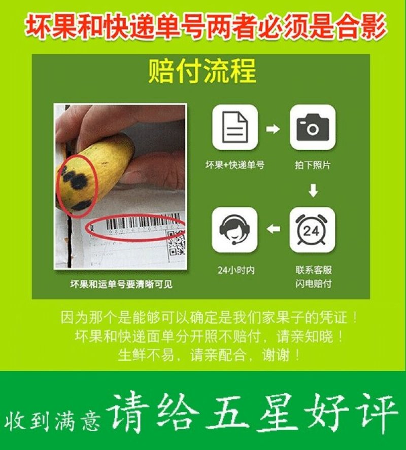 新鲜桑葚水果现摘微商供应一件代发顺丰包邮