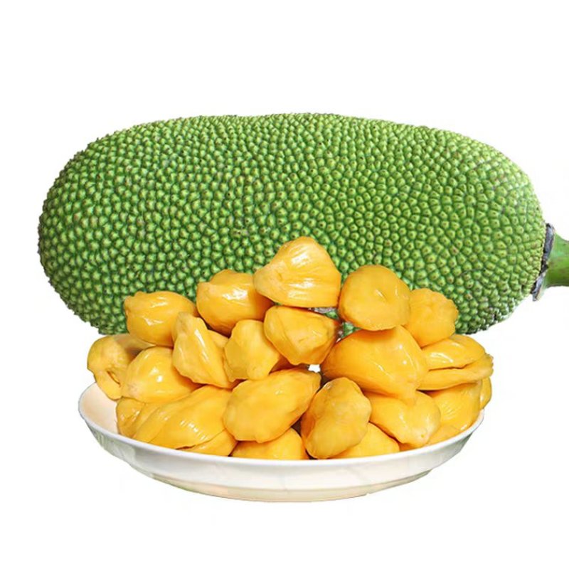 菠萝蜜超级实惠特大35斤包邮常年稳定供货