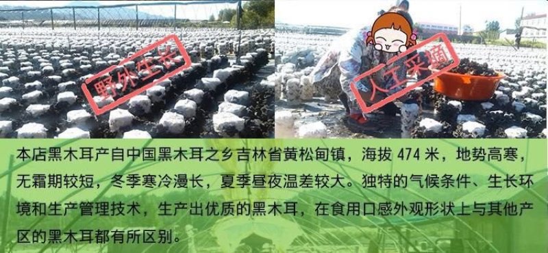 《包邮》东北小木耳，精品，质量保证，欢迎下单，