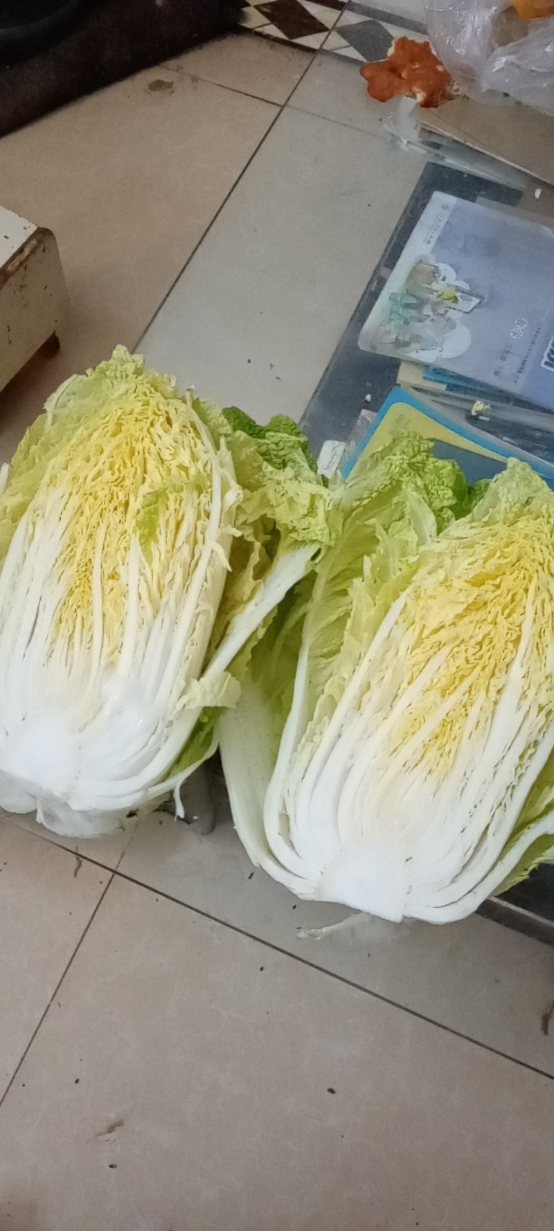 大白菜批发，产地直发，大量上市，质优价廉，欢迎选购