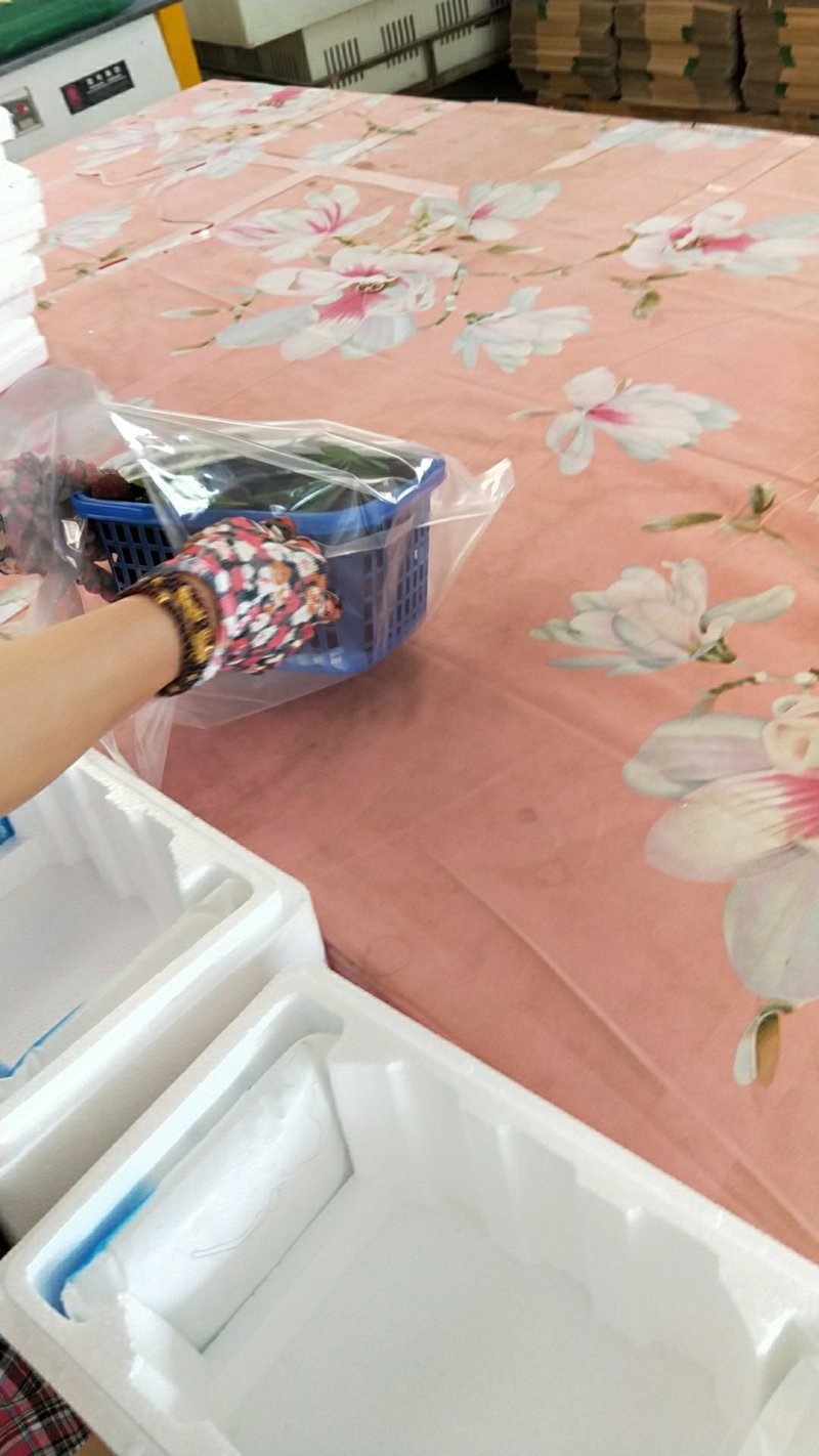 从基地到包装。到你家！我们用服务说话！欢迎各位微店商加入