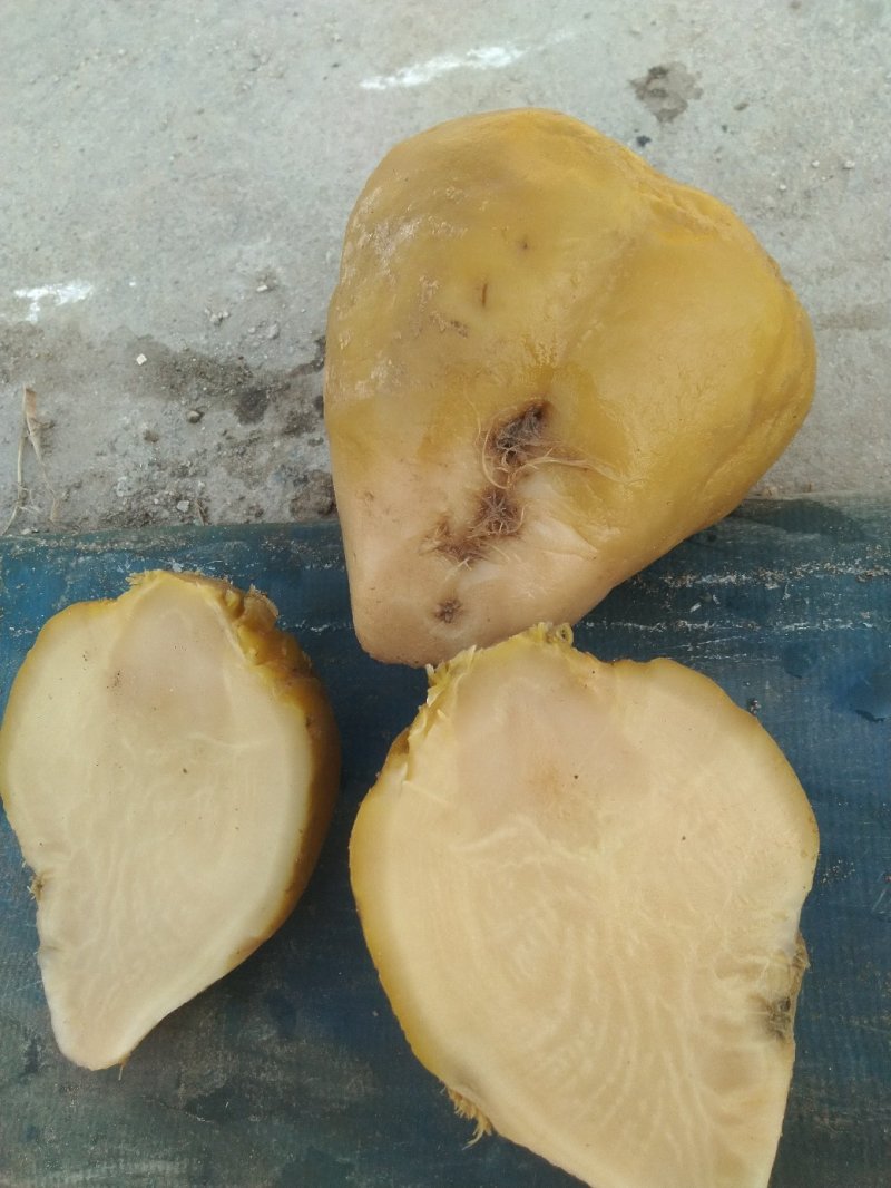 高盐芥菜，清脆疙瘩，腌制津红软皮，金塔辣椒