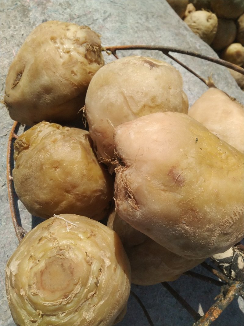 高盐芥菜，清脆疙瘩，腌制津红软皮，金塔辣椒