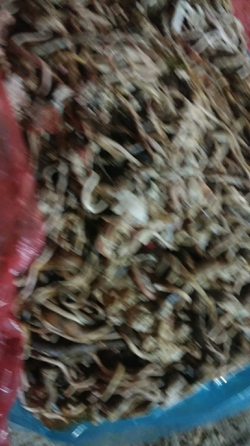 鱼饲料