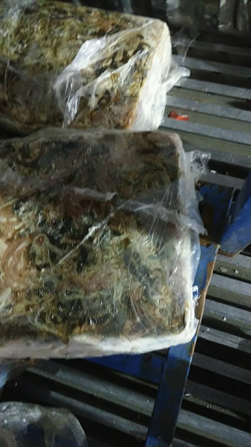 鱼饲料