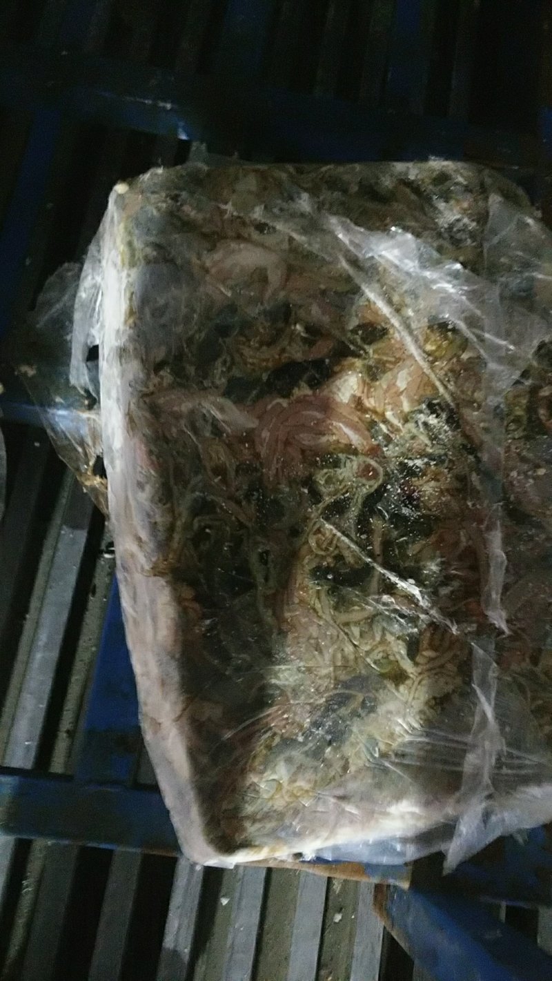 鱼饲料