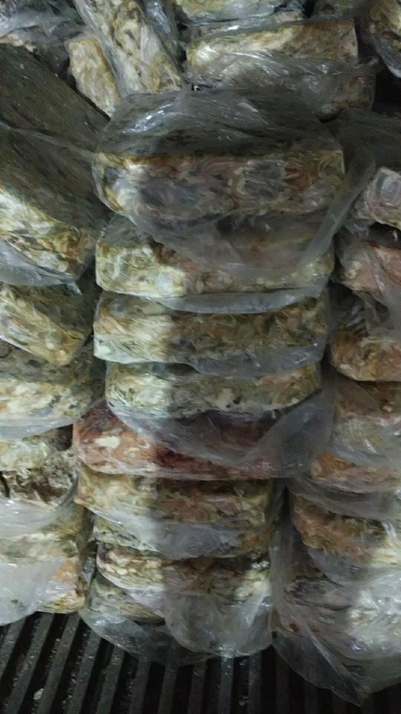 鱼饲料