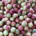 【热卖】湖北襄阳曙光油桃，产地直供，视频看货，电商供货