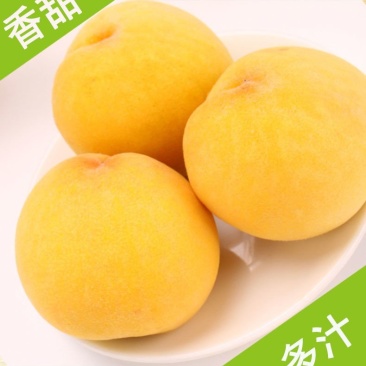 炎陵黄桃泰和高山锦绣黄桃全有机肥种植高档水果桃子一件代销