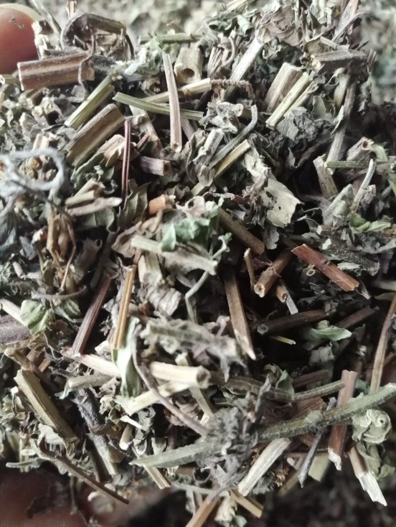 薄荷，广西薄荷切片，薄荷叶，颜色青绿，干度好气味浓！