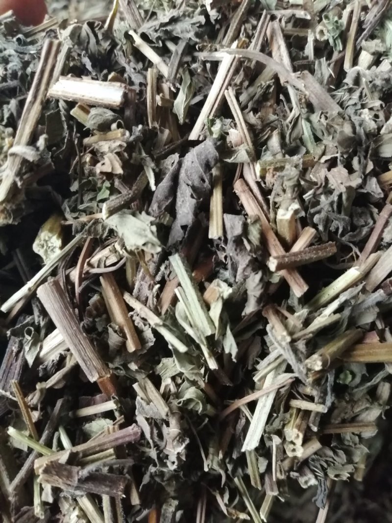 薄荷，广西薄荷切片，薄荷叶，颜色青绿，干度好气味浓！