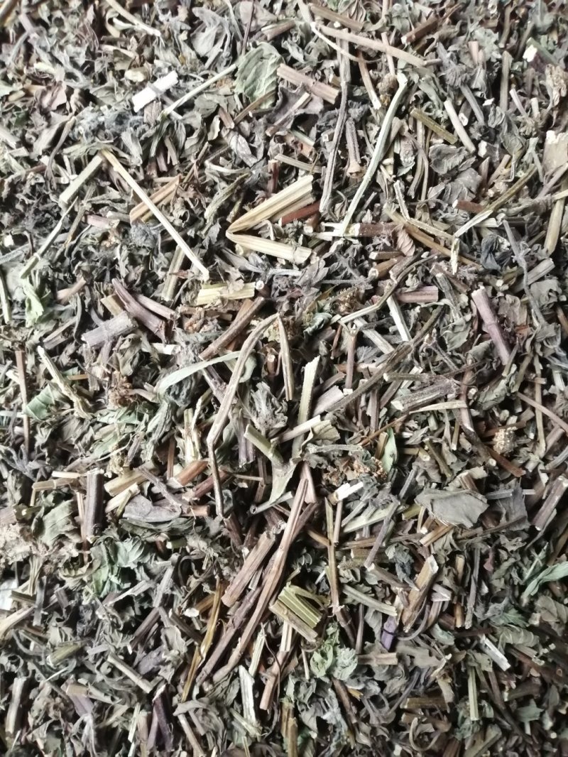 薄荷，广西薄荷切片，薄荷叶，颜色青绿，干度好气味浓！