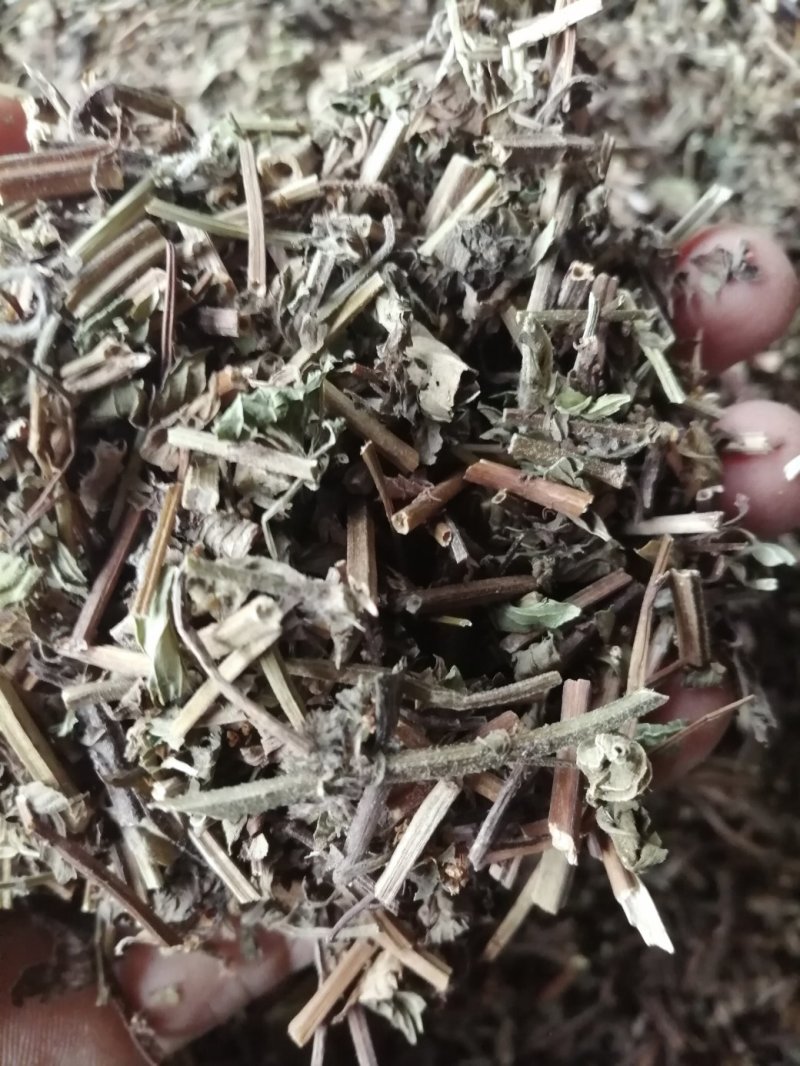 薄荷，广西薄荷切片，薄荷叶，颜色青绿，干度好气味浓！