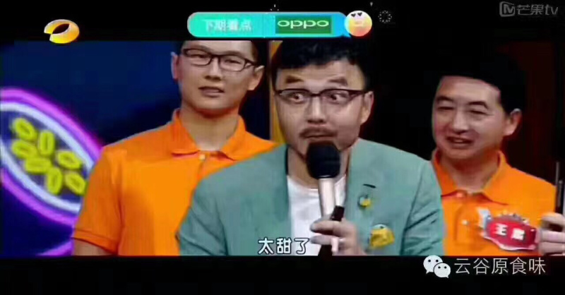 桂七芒果苗正品嫁接苗