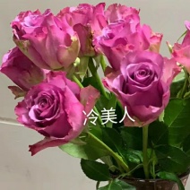 玫瑰花