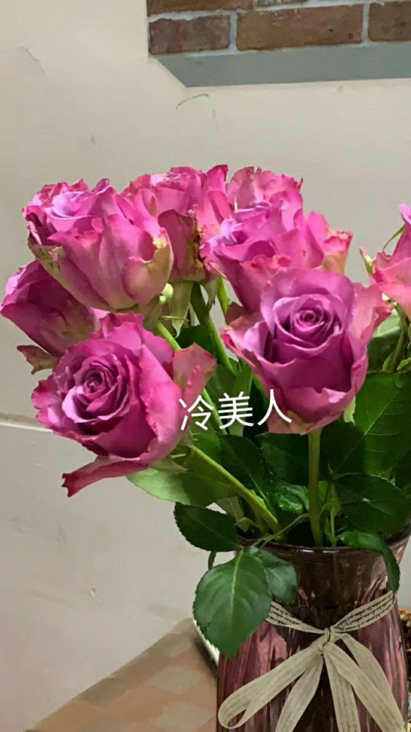 玫瑰花