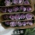 玫瑰花