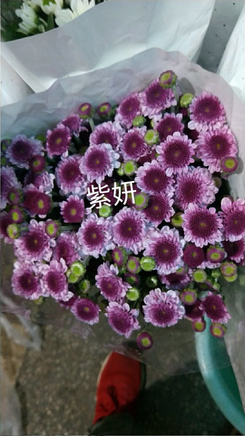 玫瑰花