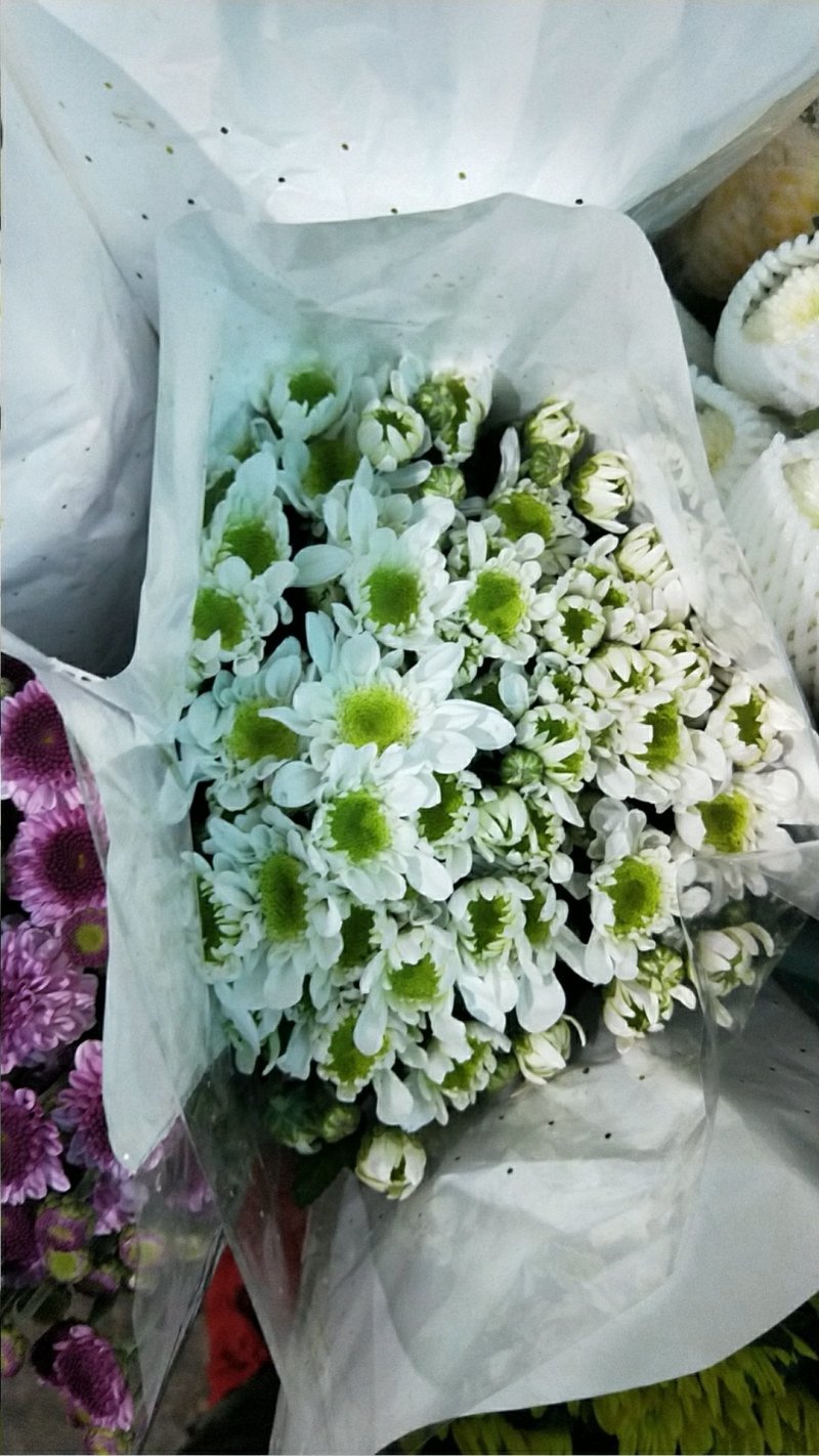 玫瑰花
