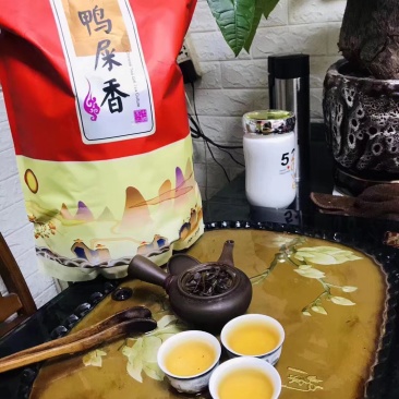 潮州鸭屎香茶头好茶身上掉下来的肉入口香醇回甘
