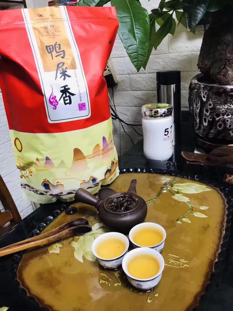 潮州鸭屎香茶头好茶身上掉下来的肉入口香醇回甘