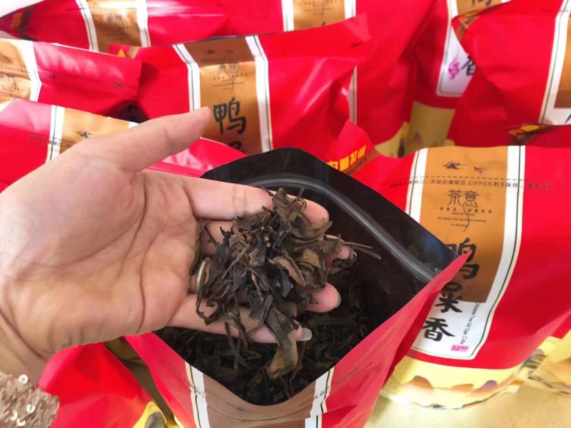 潮州鸭屎香茶头好茶身上掉下来的肉入口香醇回甘