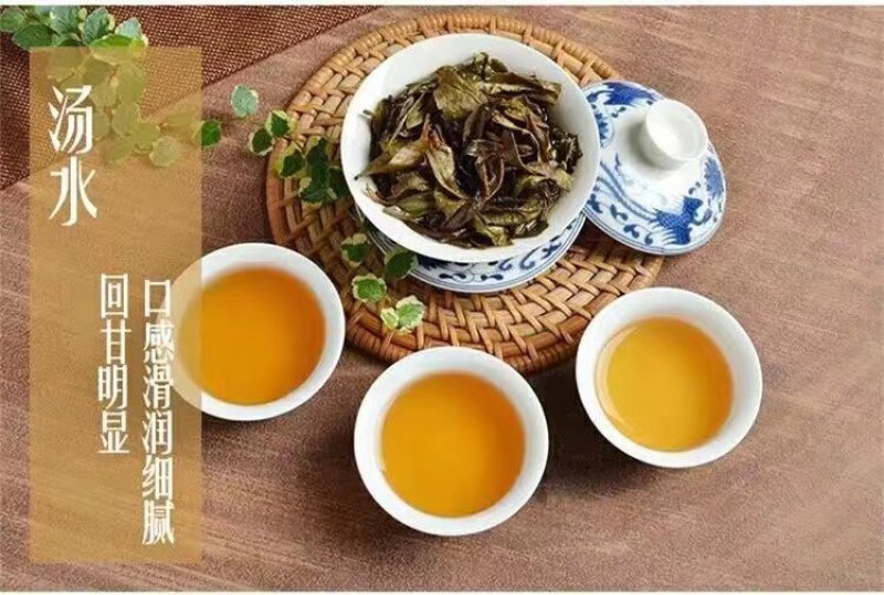 潮州鸭屎香茶头好茶身上掉下来的肉入口香醇回甘