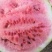江苏8424西瓜头茬无籽果型好瓤红瓜甜货源充足欢迎选购
