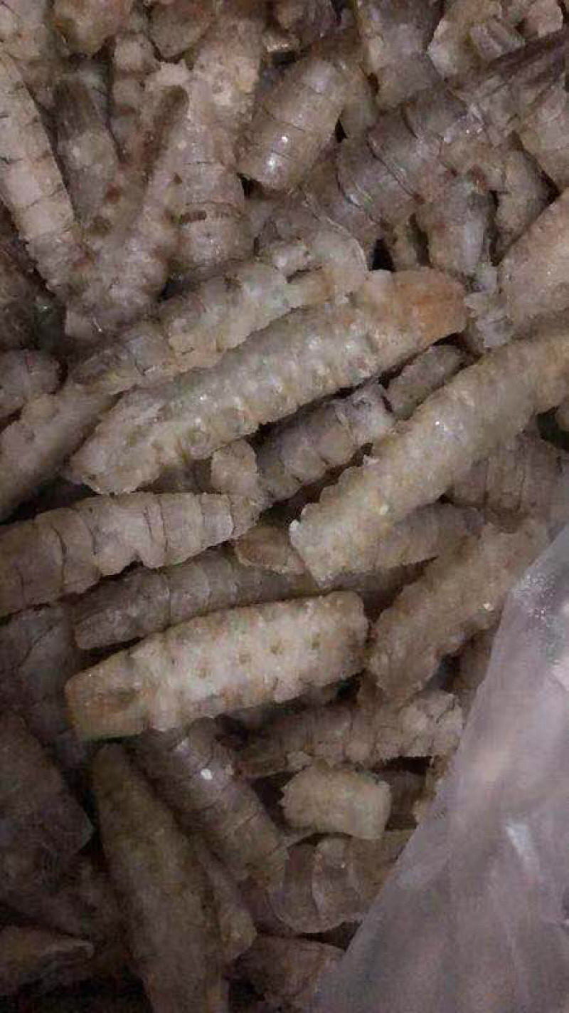 皮皮虾肉