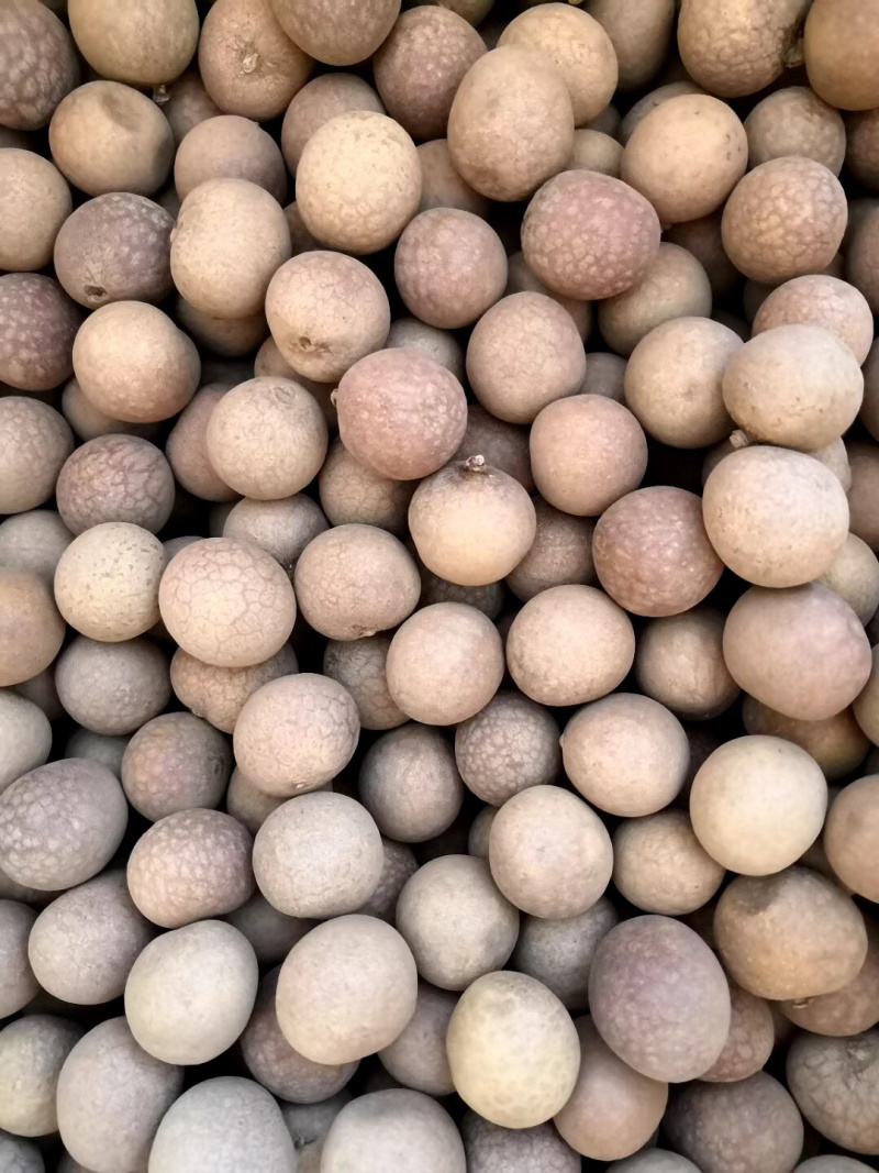 龙眼干大量出售，颗颗饱满