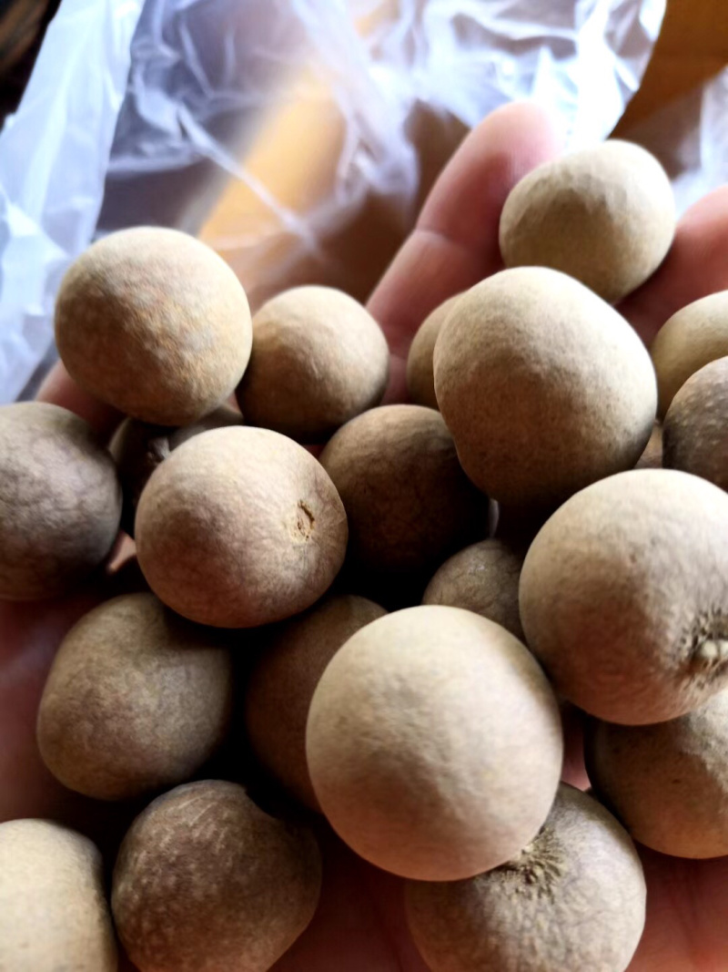 龙眼干大量出售，颗颗饱满