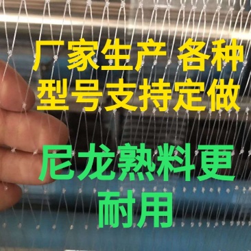 厂家生产果园防鸟网，池塘谷地防护网，规格齐全