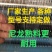 厂家生产果园防鸟网，池塘谷地防护网，规格齐全