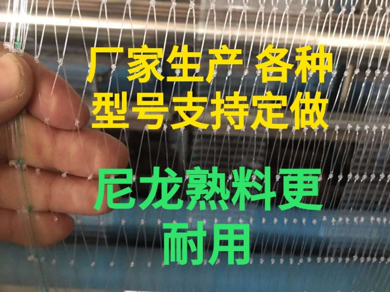 厂家生产果园防鸟网，池塘谷地防护网，规格齐全