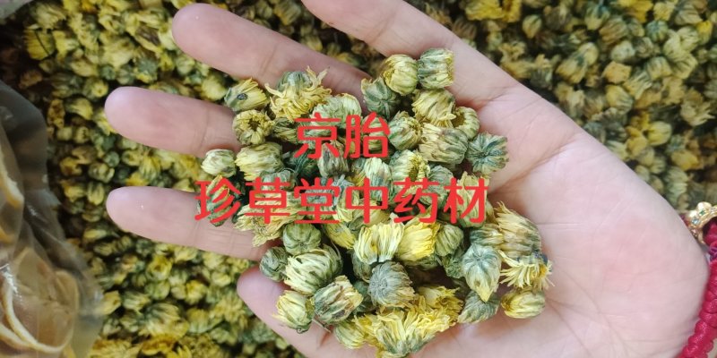 胎菊王各种规格批发胎菊米桐乡胎菊新货零售各种规格